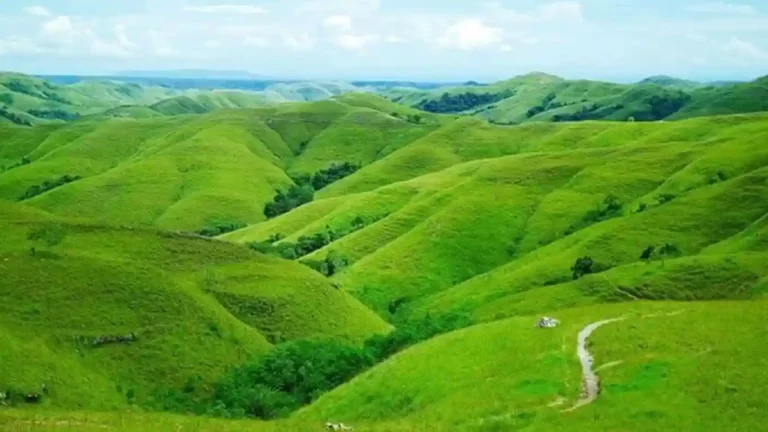 Destinasi Wisata Probolinggo dengan Pemandangan Luar Biasa Bukit Teletubbies